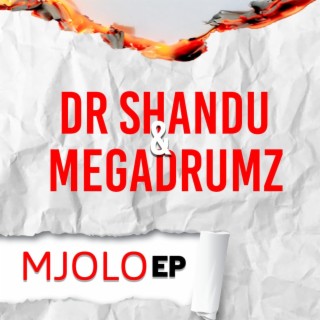 Dr Shandu