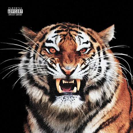 TIGRE | Boomplay Music