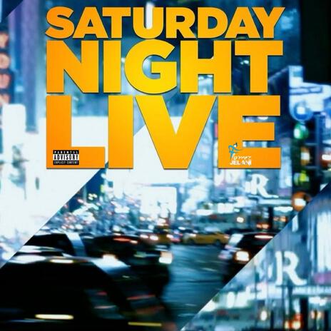 SNL (FAMILY GET TOGETHERS) | Boomplay Music