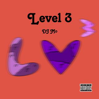 Level 3