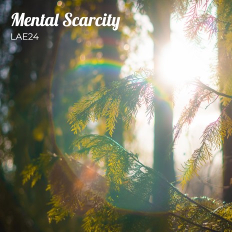 Mental Scarcity | Boomplay Music