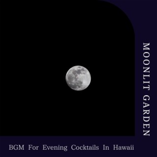 Bgm for Evening Cocktails in Hawaii