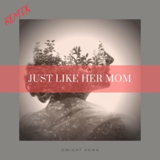 Just Like Her Mom (DJ Noah Remix) lyrics | Boomplay Music