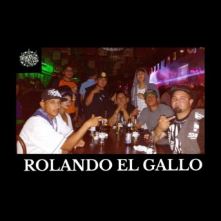 ROLANDO EL GALLO