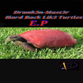 Hard Lik3 Turtles E.P