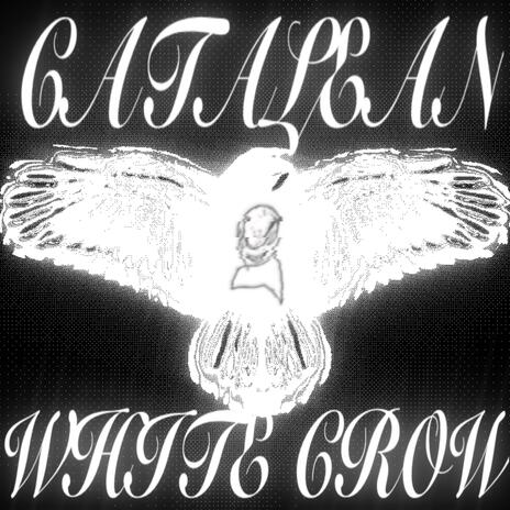 white crow | Boomplay Music