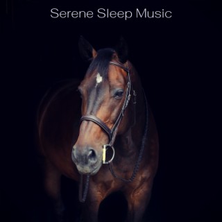 Serene Sleep Music