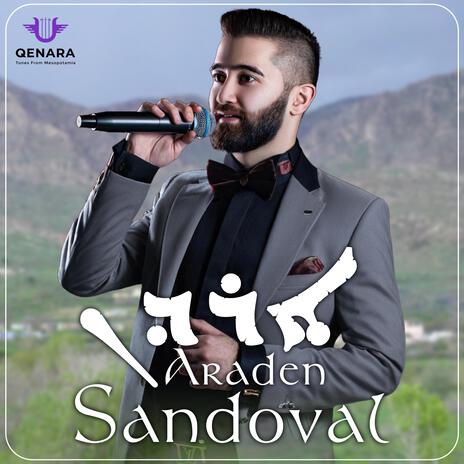 Araden | Boomplay Music