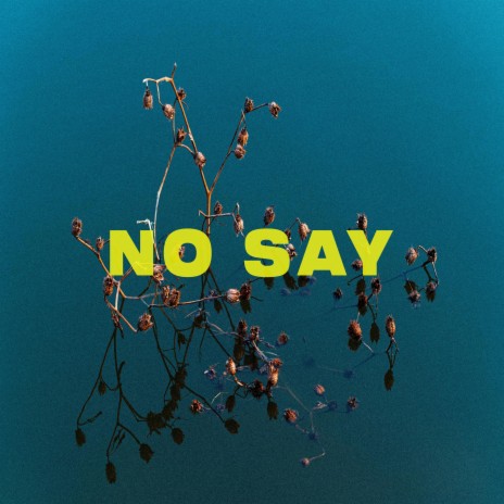 no say | Boomplay Music