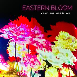 Eastern Bloom (Live)