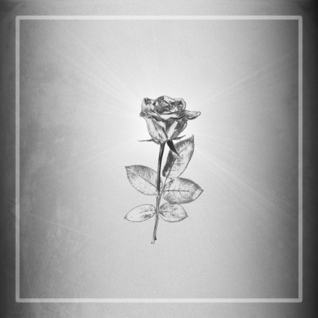 Beautiful Rose From The Grave | Boomplay Music