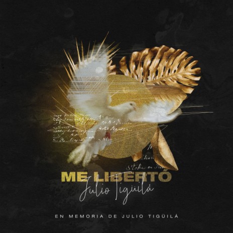 Me Libertó ft. Julio Tigüilá | Boomplay Music