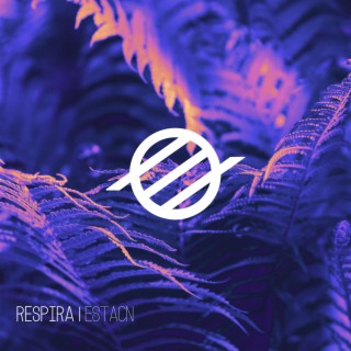 Respira lyrics | Boomplay Music