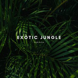 Exotic Jungle Ambience