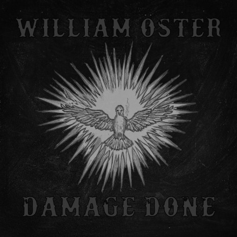 Damage Done | Boomplay Music