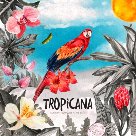 Tropicana ft. Moree | Boomplay Music