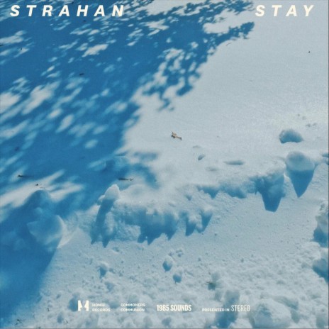 Stay | Boomplay Music