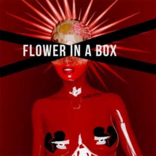 Flower In a Box