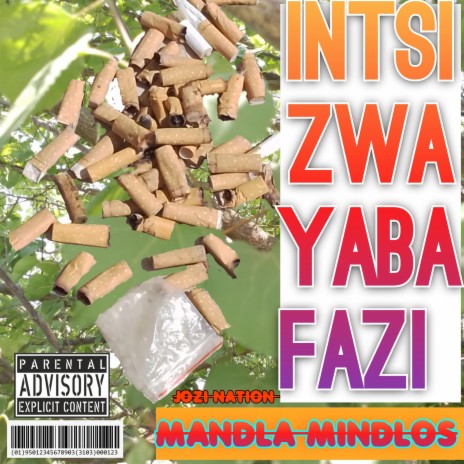 Mandla Mindlos Instizwa Yaba Fazi. | Boomplay Music