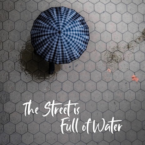 The Street is Full of Water | Boomplay Music