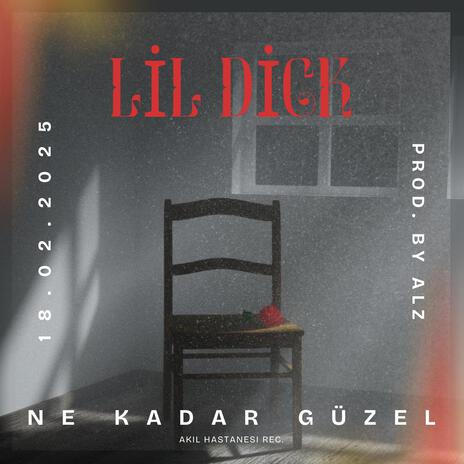 Ne Kadar Güzel | Boomplay Music