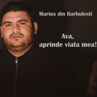 Marius din Barbulesti