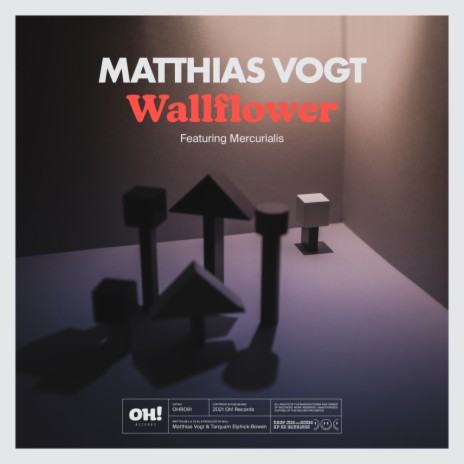 Wallflower (Original Mix) ft. Mercurialis | Boomplay Music