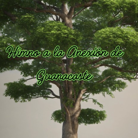 Himno a la Anexión de Guanacaste ft. Los Incateños | Boomplay Music