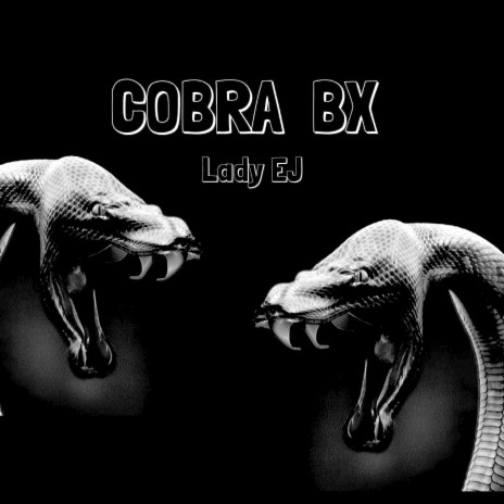 Cobra BX