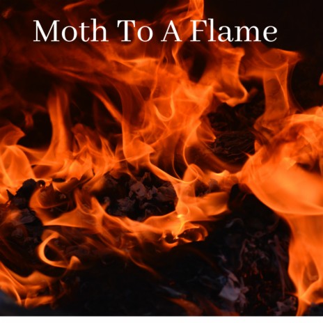 Moth To A Flame | Boomplay Music