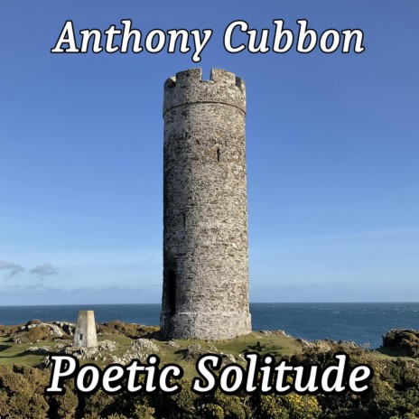 Poetic Solitude | Boomplay Music