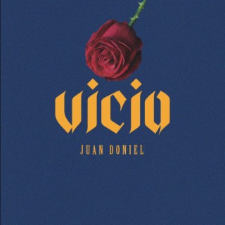 Vicio lyrics | Boomplay Music