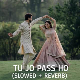 Tu Jo Pass Ho (Slowed + Reverb)