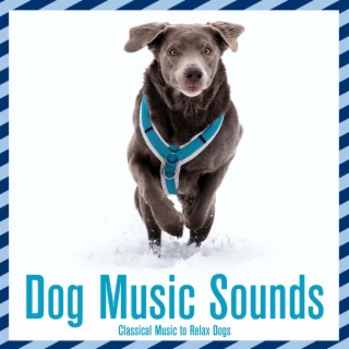 Dog Music Sounds: Classical Music to Relax Dogs