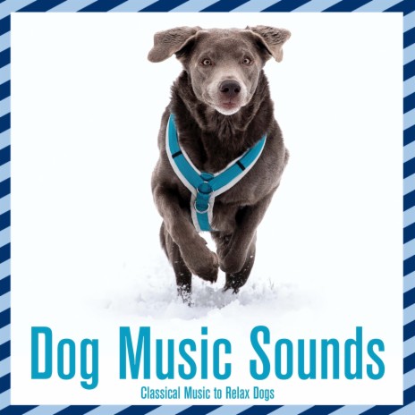 Peaceful Instrumental ft. Dog Music Dreams & Dog Music