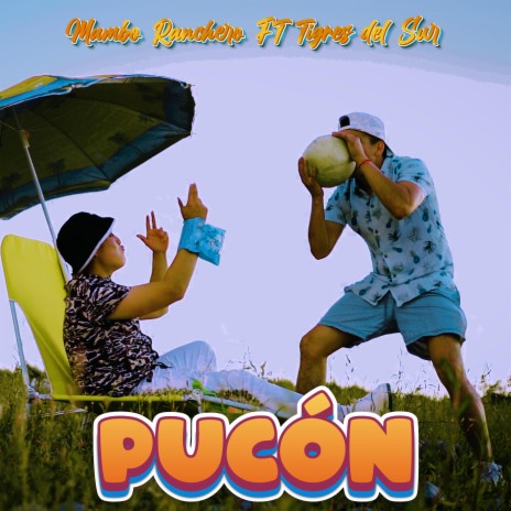 Pucón ft. Tigres del Sur | Boomplay Music