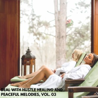 Deal with Hustle Healing and Peaceful Melodies, Vol. 03