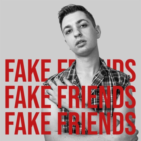 Fake Friends | Boomplay Music