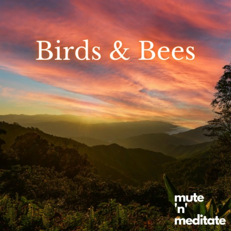Birds & Bees | Boomplay Music