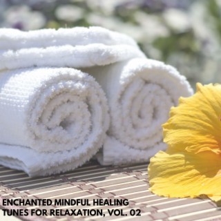 Enchanted Mindful Healing Tunes for Relaxation, Vol. 02