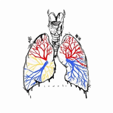 Lungs | Boomplay Music