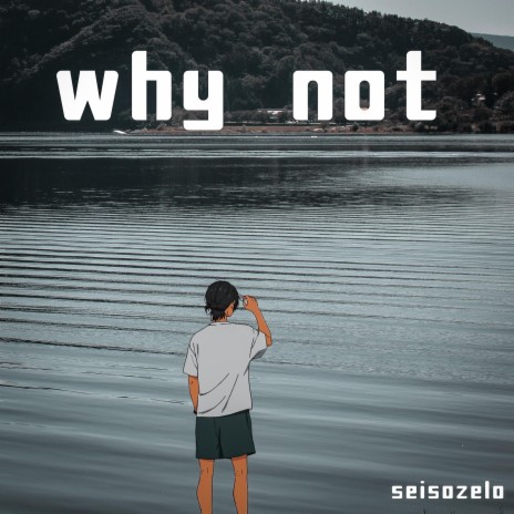 why not | Boomplay Music