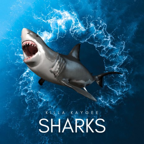 Sharks | Boomplay Music