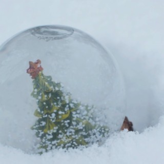 Snowglobe