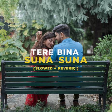 Tere Bina Suna Suna (Slowed + Reverb) | Boomplay Music