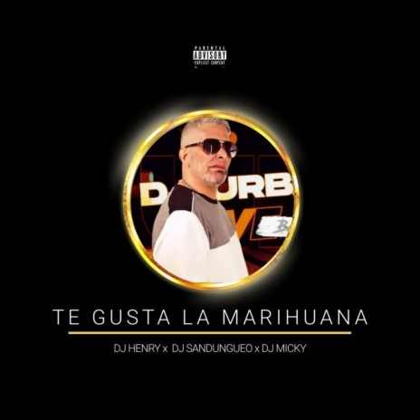 Te Gusta La Marihuana ft. Dj Henry & Dj Sandungueo