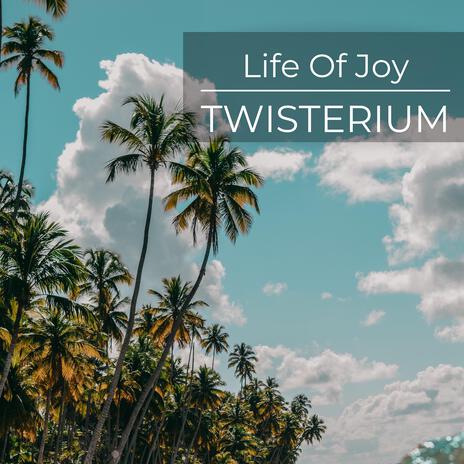 Life Of Joy | Boomplay Music