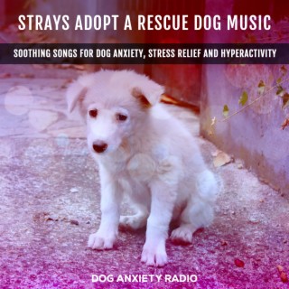 STRAYS ADOPT A RESCUE DOG MUSIC: Soothing Songs for Dog Anxiety, Stress Relief and Hyperactivity