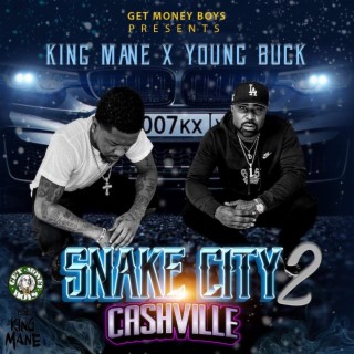 Snake City 2 Cashville