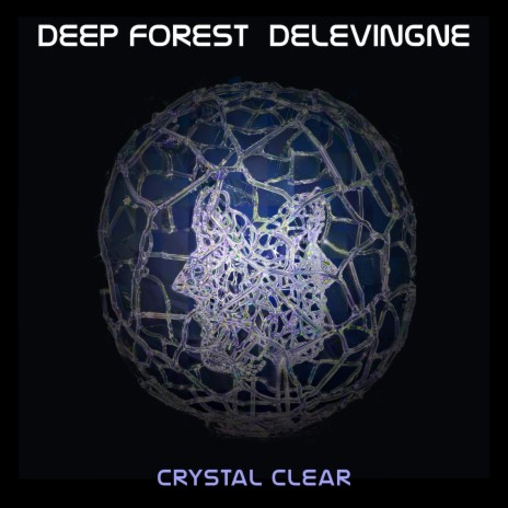 Crystal Clear ft. Olivier Delevingne | Boomplay Music